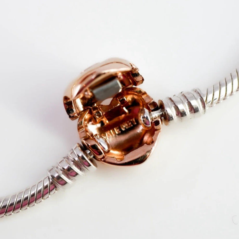 Heart Clasp Snake Chain Bracelet