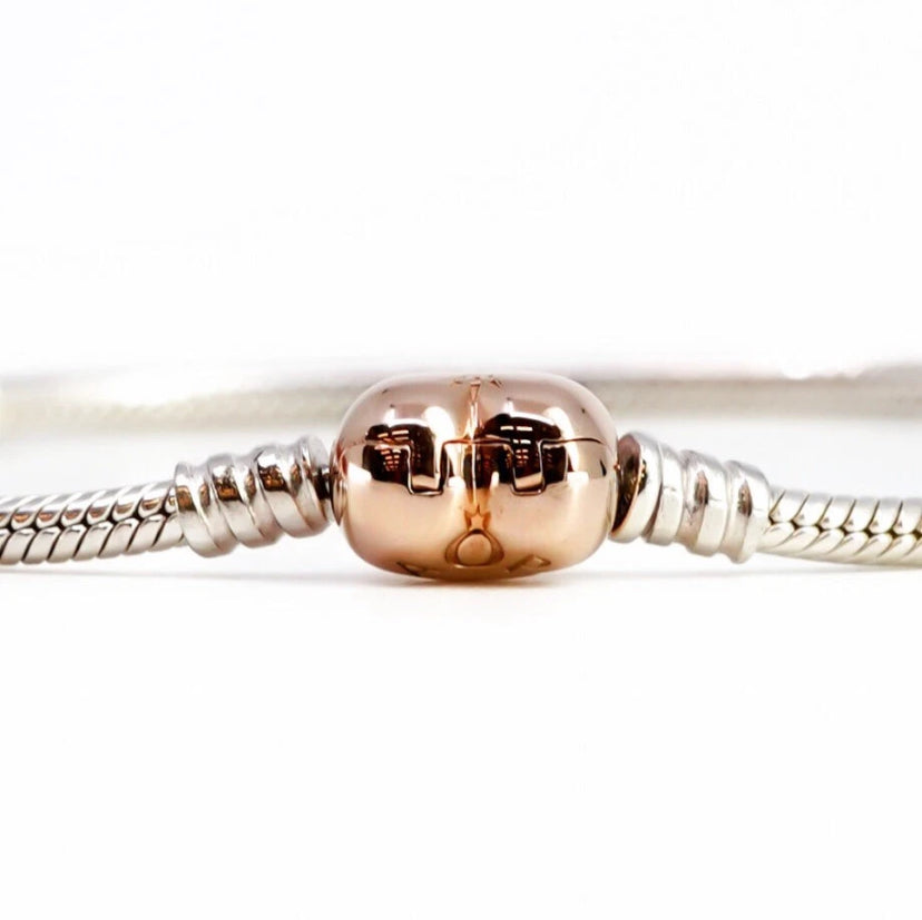 Heart Clasp Snake Chain Bracelet